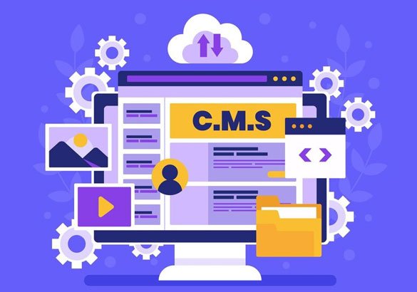 CMS Website Development